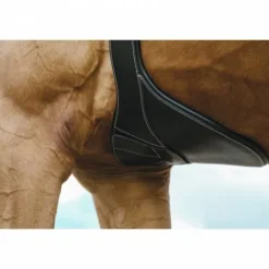 Online Sangle bavette Magnet - Sangles