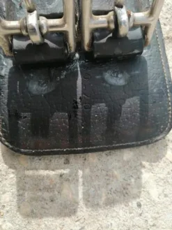 Best Sangle courte Devoucoux Sangles