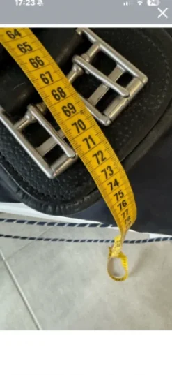 Discount Sangle de dressage antares Sangles