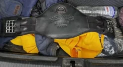 Sangle dressage Hérmes Sangles