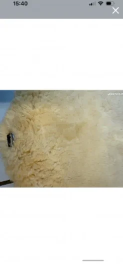 Outlet Sangle mouton état neuf Sangles