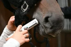 Discount Seringue de gel gastrique Natural'Digest Flash - Appareil Digestif·Stress Gastrique