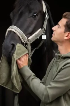 Discount Serviette Éponge Terry Classic Sports 2025 - Gants De Pansage