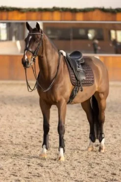 Set de guêtres et protège-boulets Franka - Ensembles Guêtres