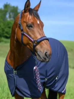 Outlet Set licol et longe Rope Yale - Licols Et Longes