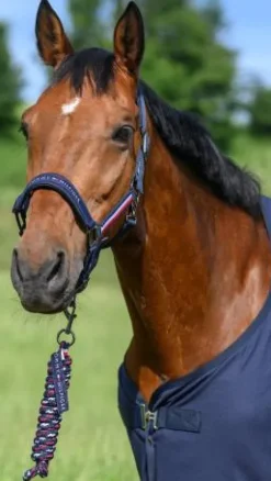 Outlet Set licol et longe Rope Yale - Licols Et Longes