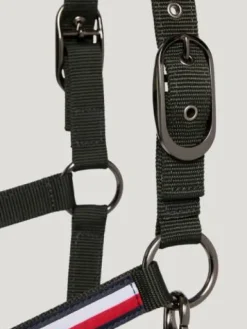 Outlet Set licol et longe Rope Yale - Licols Et Longes