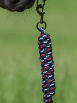 Outlet Set licol et longe Rope Yale - Licols Et Longes