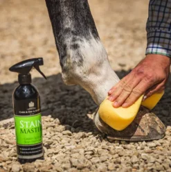 Clearance Shampoing sec Stainmaster - Carr & Day & Martin Shampoings Pour Chevaux