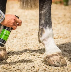 Clearance Shampoing sec Stainmaster - Carr & Day & Martin Shampoings Pour Chevaux