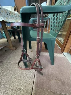 Hot Side pool taille COB Bridons Et Brides·Filet Sans Mors|Bridons Et Brides·Bridon Cuir