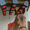 Sale solarium hippocenter tres peu servi Aménagement De L'Écurie·Solarium Chevaux