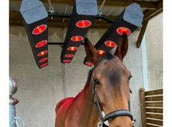 Sale solarium hippocenter tres peu servi Aménagement De L'Écurie·Solarium Chevaux