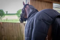 Hot Sous couverture Couvertures Cheval