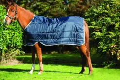 Online Sous-couverture Liner 100G pony - - polyester Couvertures Cheval