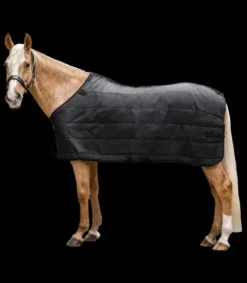 Discount Sous-couverture thermique - - 200 g Couvertures Cheval