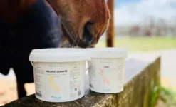 Clearance Specific Dermite - Complément pour la dermite Dermite Cheval|Peau Et Sabots·Dermite Estivale