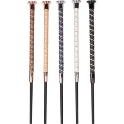 Online Stick dressage Precious Harry's horse Cravaches