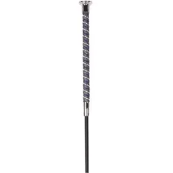 Online Stick dressage Precious Harry's horse Cravaches