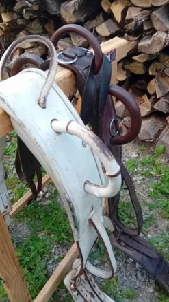 Clearance Surfaix Voltige Surfaix