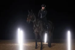 Sale Sweat zippé Zip Shirt Dynamic 2025 - - Edition limitée Femme Tenue D'Équitation Femme·Sweat Shirt, Polaire Et Pull Femme