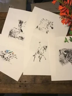 Tableau personnalisé, Horse Pilot , Cavalliera Toscana, Femme Le Cavalier En Concours|L'Homme En Concours