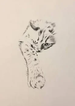 Tableau personnalisé, Horse Pilot , Cavalliera Toscana, Femme Le Cavalier En Concours|L'Homme En Concours