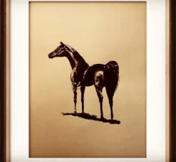 Outlet Tableaux de chevaux, poneys, ânes , chien Décorations