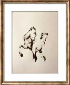 Outlet Tableaux de chevaux, poneys, ânes , chien Décorations