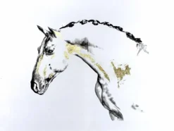 Outlet Tableaux de chevaux, poneys, ânes , chien Décorations