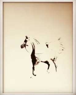 Outlet Tableaux de chevaux, poneys, ânes , chien Décorations