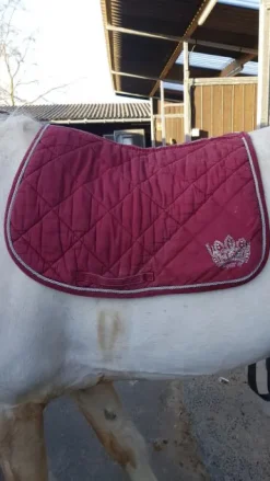 Discount Tapis Tapis De Cso