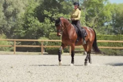 Discount Tapis Bicross Mattgloss Heritage 25/26 - - Doublure respirante Tapis De Dressage|Tapis De Selle