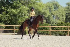 Discount Tapis Bicross Mattgloss Heritage 25/26 - - Doublure respirante Tapis De Dressage|Tapis De Selle