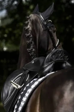 Outlet Tapis Big Square Glossy Essence 2022 - Tapis De Dressage|Tapis De Selle