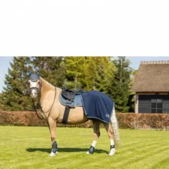 New Tapis Mini Horse Tapis De Selle|Tapis De Selle