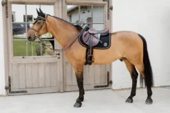 Hot Tapis 3D Logo Onion Quilt JUMPING - Kentucky Tapis De Selle|Tapis De Selle