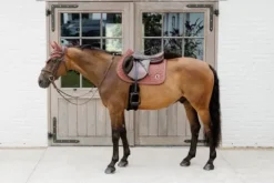 Hot Tapis 3D Logo Onion Quilt JUMPING - Kentucky Tapis De Selle|Tapis De Selle