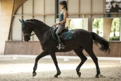 New Tapis de dressage Aurora Lamicell Tapis De Dressage|Tapis De Selle