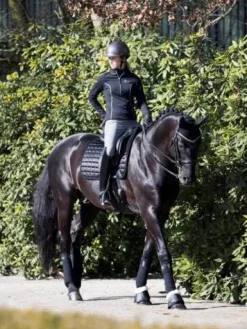 Best Tapis de dressage Loire Memory   Tapis De Dressage|Tapis De Selle