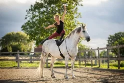 New Tapis de monte à cru + Sangle Tapis De Selle|Tapis De Selle