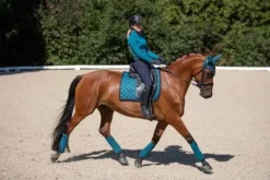 Clearance Tapis de selle Aurora Blues - Tapis De Dressage|Tapis De Selle