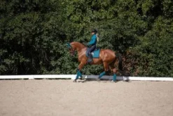 Clearance Tapis de selle Aurora Blues - Tapis De Dressage|Tapis De Selle