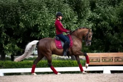 Best Tapis de selle - Tapis De Dressage|Tapis De Cso