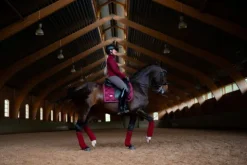 Best Tapis de selle - Tapis De Dressage|Tapis De Cso