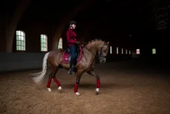 Best Tapis de selle - Tapis De Dressage|Tapis De Cso