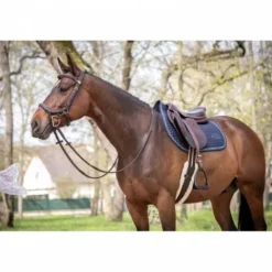 New Tapis de selle Carat - Jump'in Tapis De Cso|Tapis De Selle