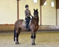 Discount Tapis de selle CHAMPAGNE - Tapis De Cso|Tapis De Dressage