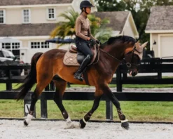 Discount Tapis de selle CHAMPAGNE - Tapis De Cso|Tapis De Dressage