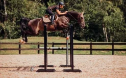 Discount Tapis de selle CHAMPAGNE - Tapis De Cso|Tapis De Dressage